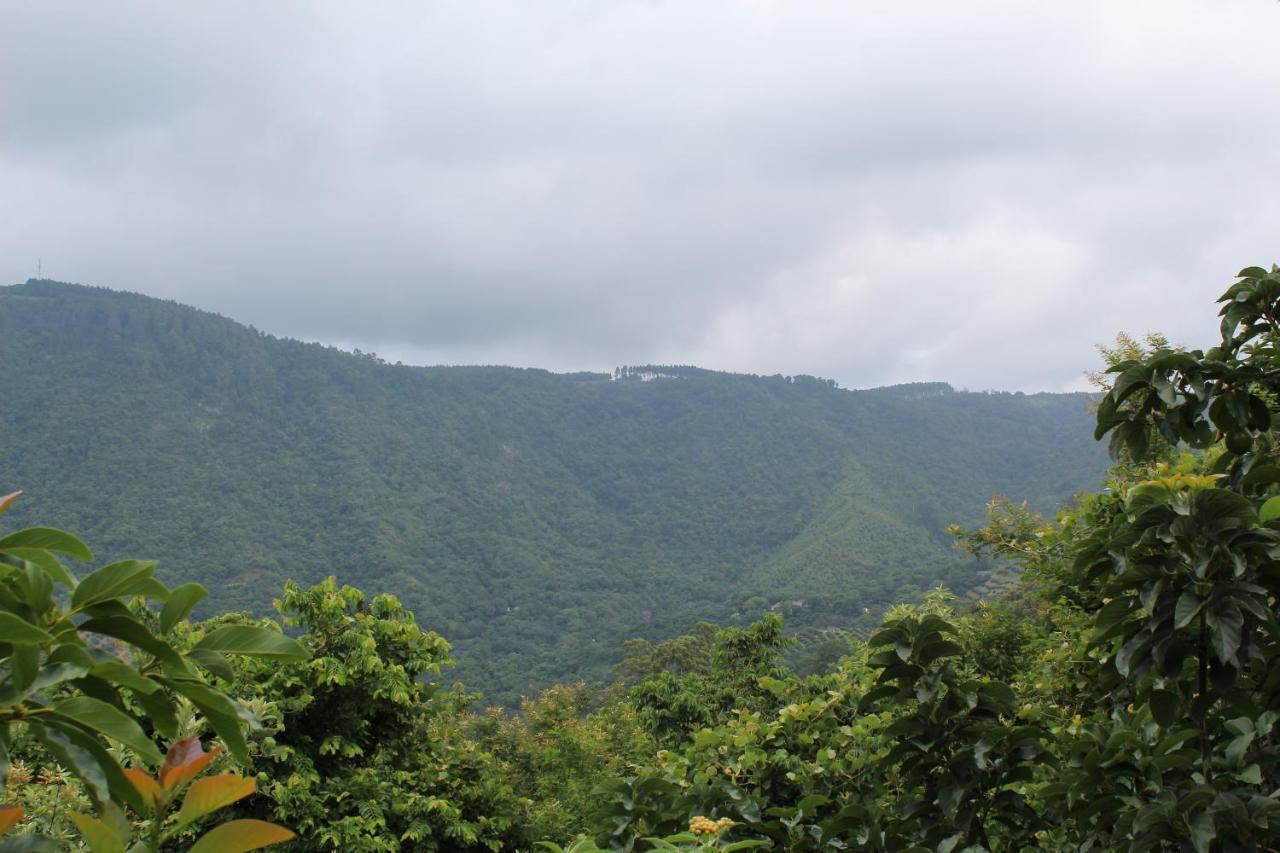 Magoebaskloof Mountain Lodge Tzaneen Eksteriør billede